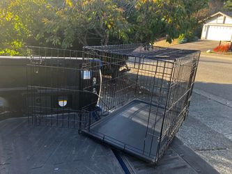Large Medium Dog Kennel Crate Collapsible in Good Condition 36” L by W 22” H “24