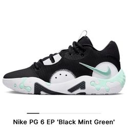 Nike PG 6