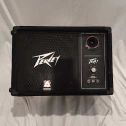 Peavey 112M Floor Monitor