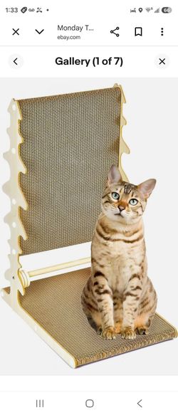 Cat scratcher