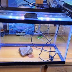 5 Gal  Aquarium With Color Changing Light, Filter And Cover OR Best Offer