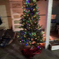 Christmas Tree Lights 