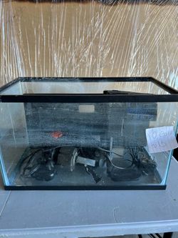 10 gal
