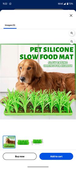 Slow pet feeder plate