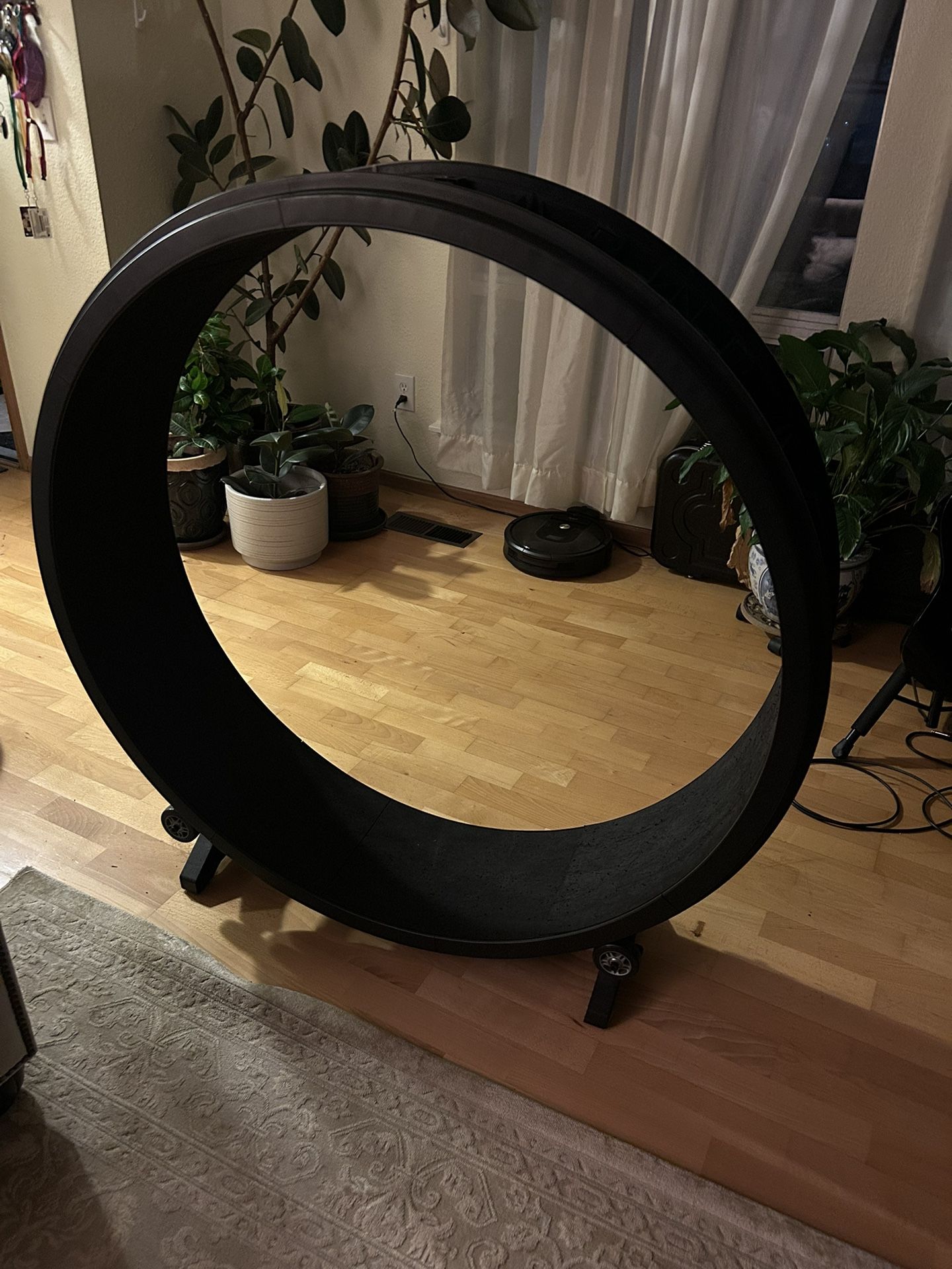 Cat Wheel