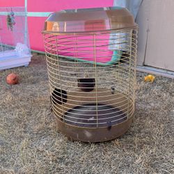 Bird Cage 