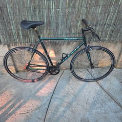 Takara Yuugen 700c Single Speed or Fixie  bike