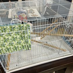 Bird Cage 