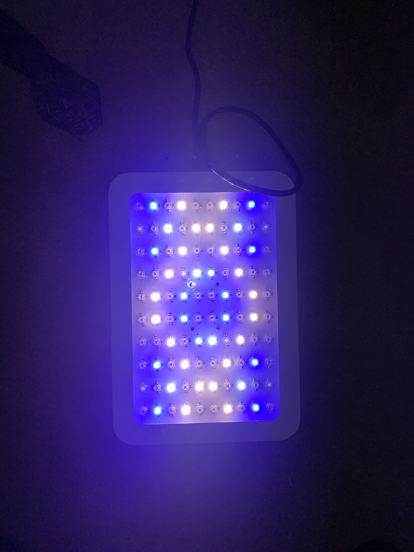 Grow Light