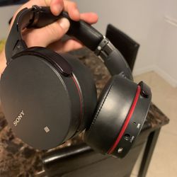 Sony MDRXB950B1