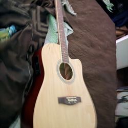 Audster Guitar