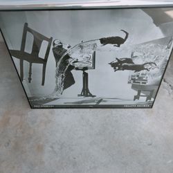 Dali Atomicus..framed print