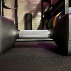 Peloton 30lbs Dumbbells