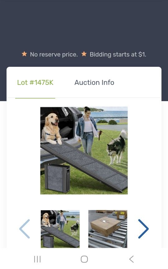 Dog Ramp - Brand New