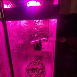 Grow Box