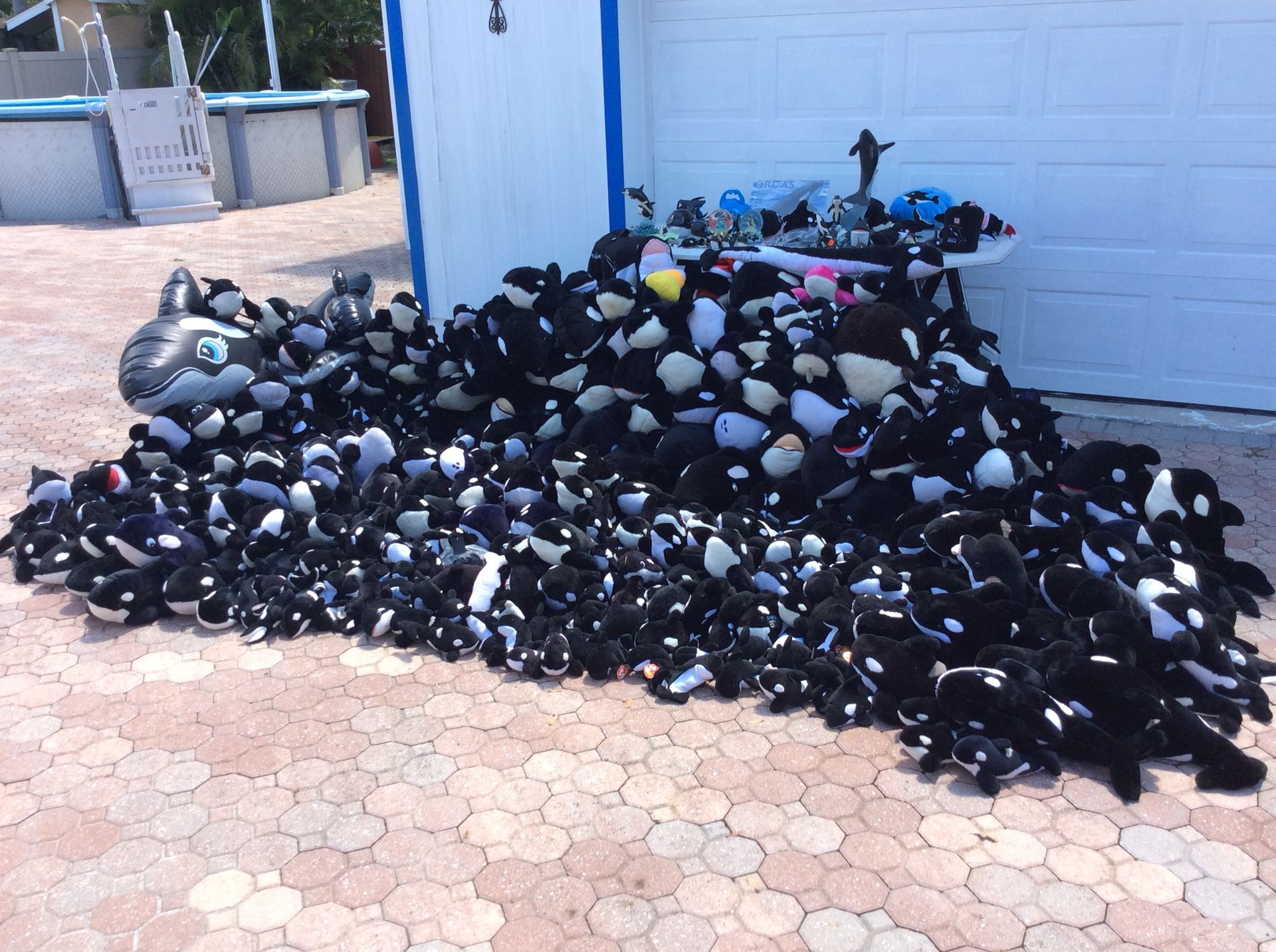 Shamu Collection. Over 500 pieces. Stuffed animals. Toys. Rare. Very small to very big.