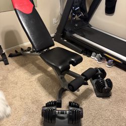 BOWFLEX Select Tech Dumbbells With Adjustable Bench