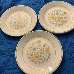 Vintage Corelle Spring Meadow Luncheon Or Salade Plate 12 Pcs