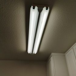 Bright Lights 25