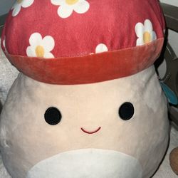 RARE MALCOM MUSHROOM SQUISHMALLOW