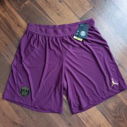 XXL PSG Paris Saint Germain Air Jordan 2020/21 Vaporknit Men's Soccer Slim Fit Shorts