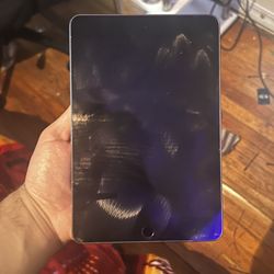 iPad Mini 