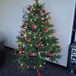 Christmas Tree 🎄 