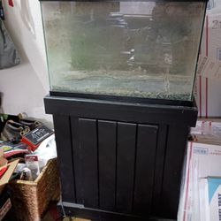 20 Gallon Tank + Stand + Lights + Decor + Filtration + Heater + Manifold