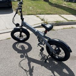 Warren All -Terrain Electric Bike