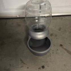Dog Water Bowl