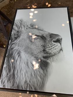 2x Large Framed  Canvas 