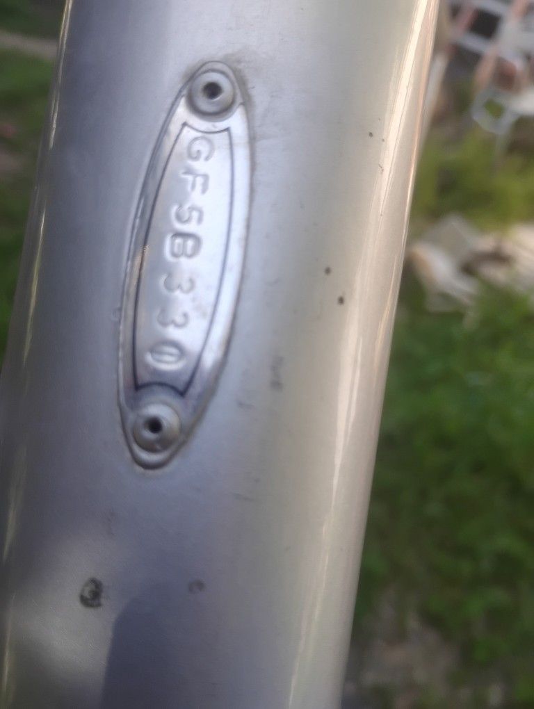 GUTTED Giant frame and forks
