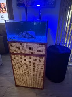Saltwater fishtank