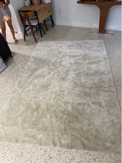 Washable 6x9 rug brand new