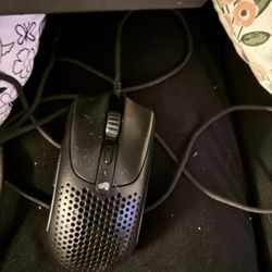 Glorious Mouse Model 02