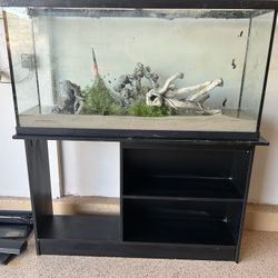 60 gallon fish Tank  Aquarium 