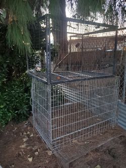 Dog Cage