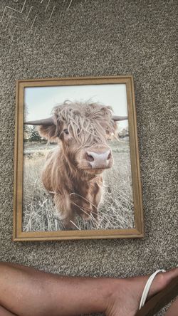 Cow Print