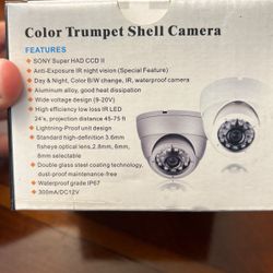 Professional CCTV Camera Color Trumpet Shell Camera 