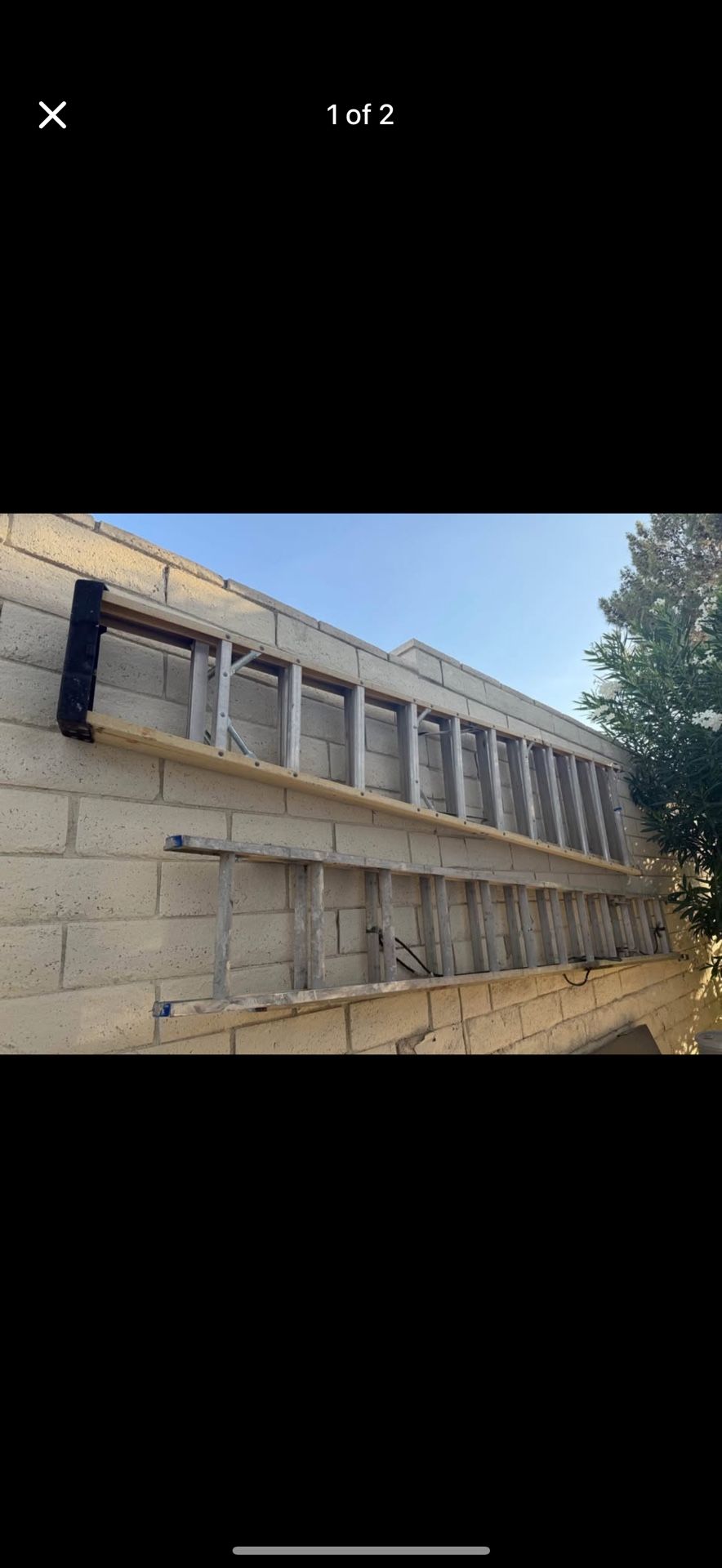 2 Huge Ladder