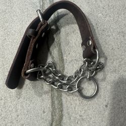 Martingale Dog Collar