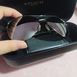 Coach sunglasses 