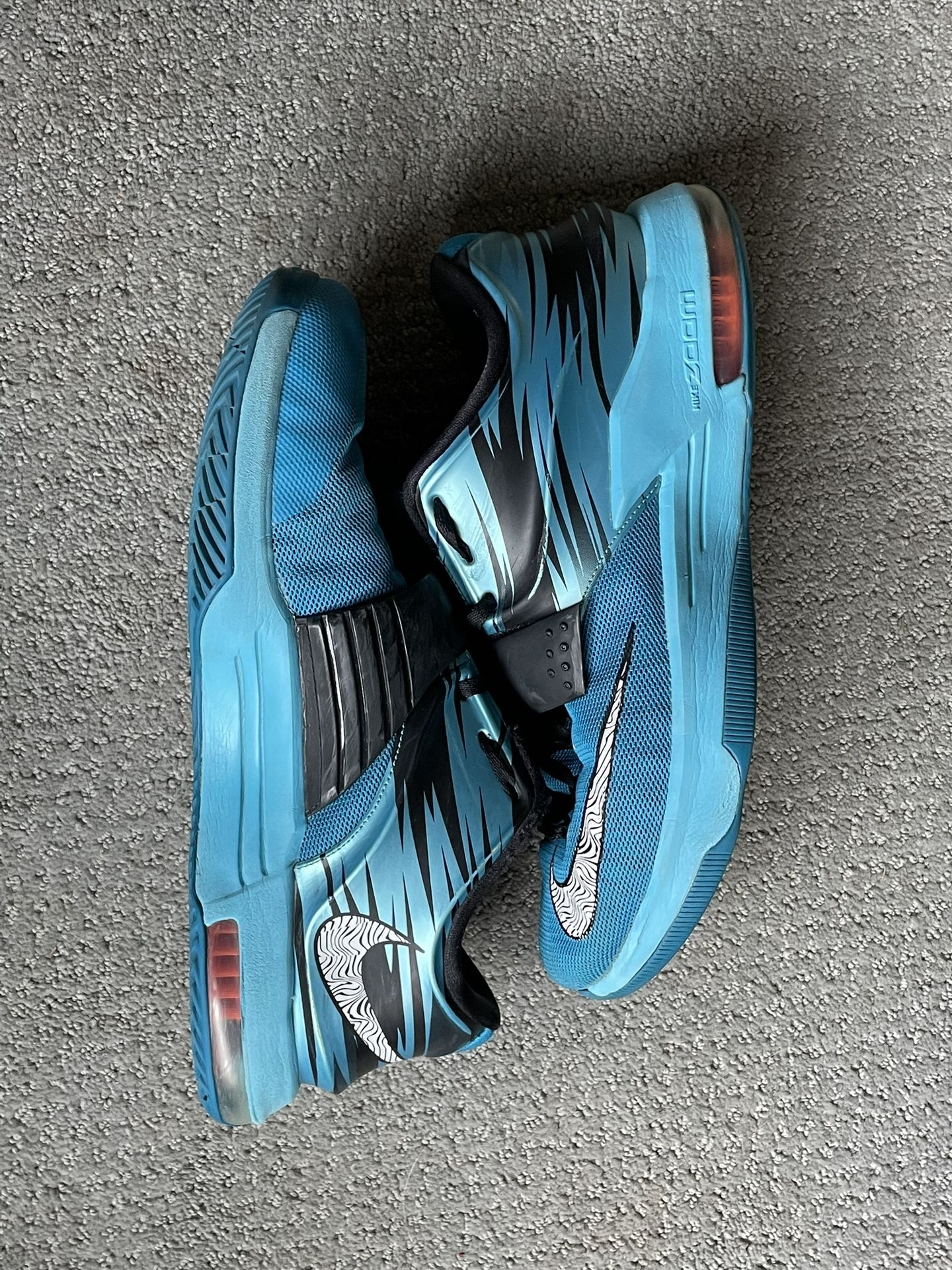 KD 7 Clearwater 