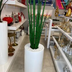 Snake Grass White / Home Decoration / Decor Home /