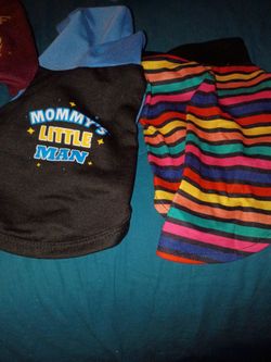 Small dog boy clothing