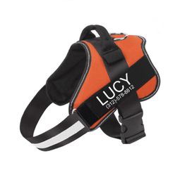 dog no pull dog harness orange ( M )
