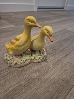 Ducks