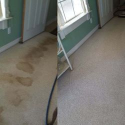 Carpet Cleaner 