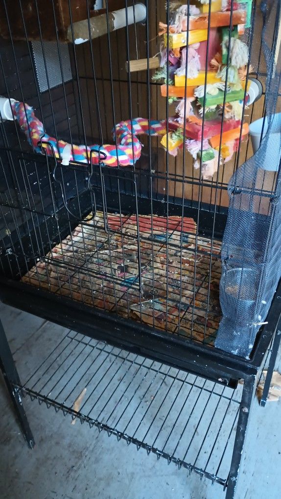 Birdcage