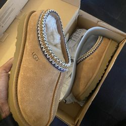 Ugg Tasman